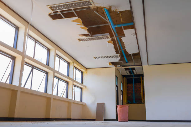 Best Ceiling water damage repair  in Paramus, NJ