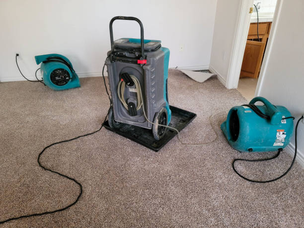 Best Commercial water damage restoration  in Paramus, NJ