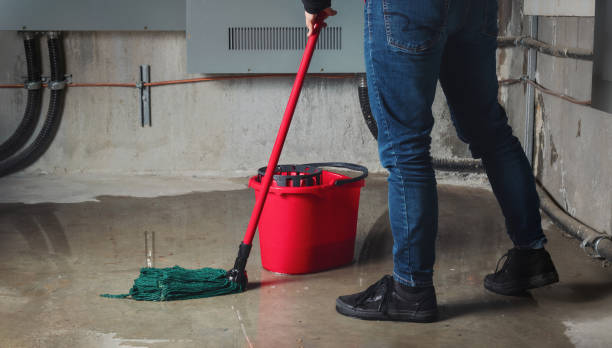 Best Fire Damage Restoration  in Paramus, NJ