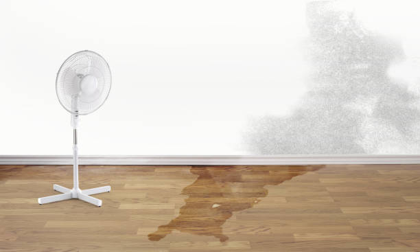 Best Professional water damage repair  in Paramus, NJ