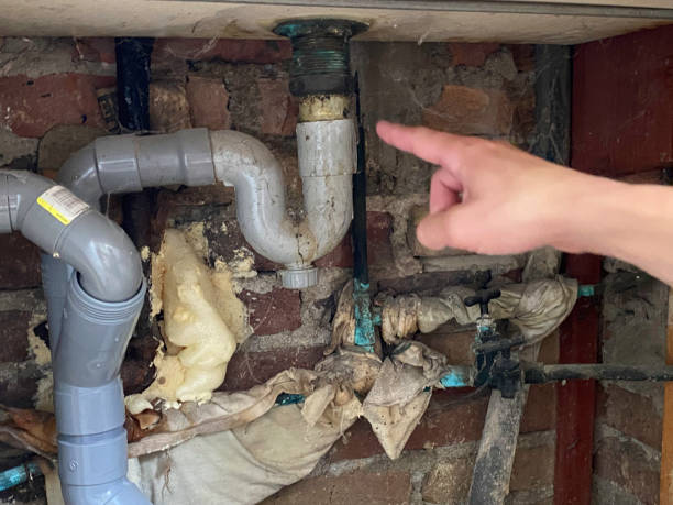 Best Basement water damage restoration  in Paramus, NJ